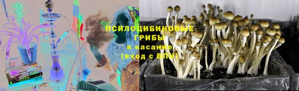 mdpv Аркадак