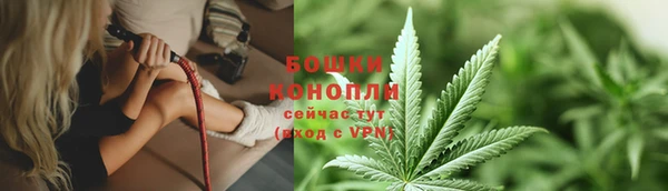 прущие грибы Белоозёрский
