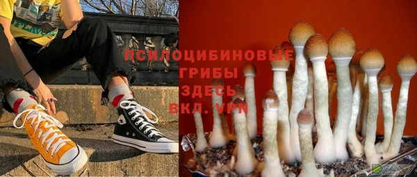 винт Баксан